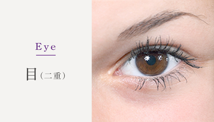 Eye 目(二重)