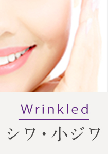Wrinkled シワ・小ジワ