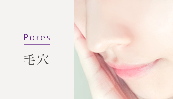 Pores 毛穴