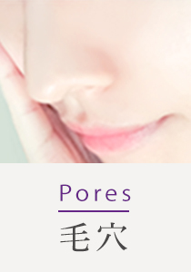 Pores 毛穴