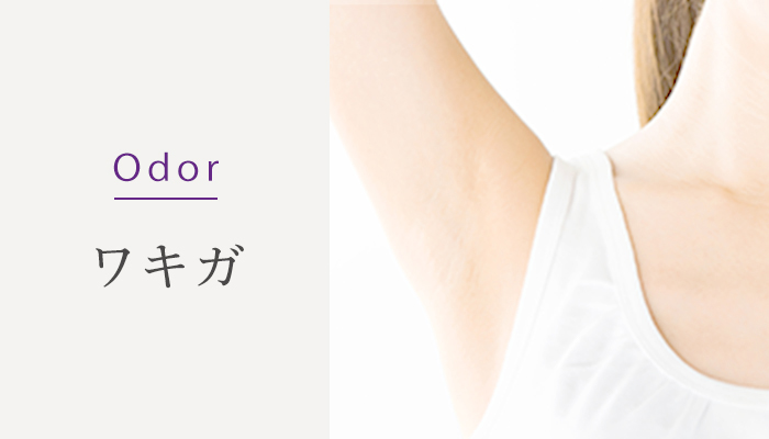 Odor ワキガ