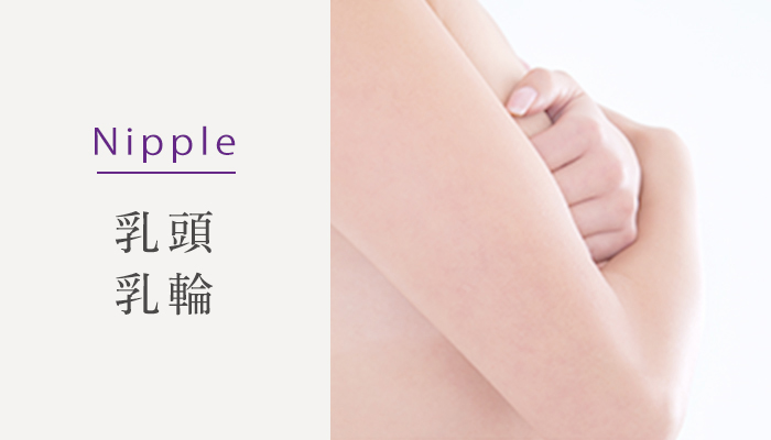 Nipple 乳頭・乳輪