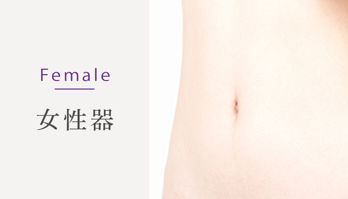 Female 女性器