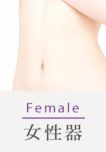 Female 女性器
